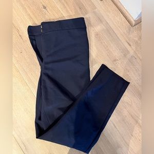 Navy Loft Skinny Work Pants